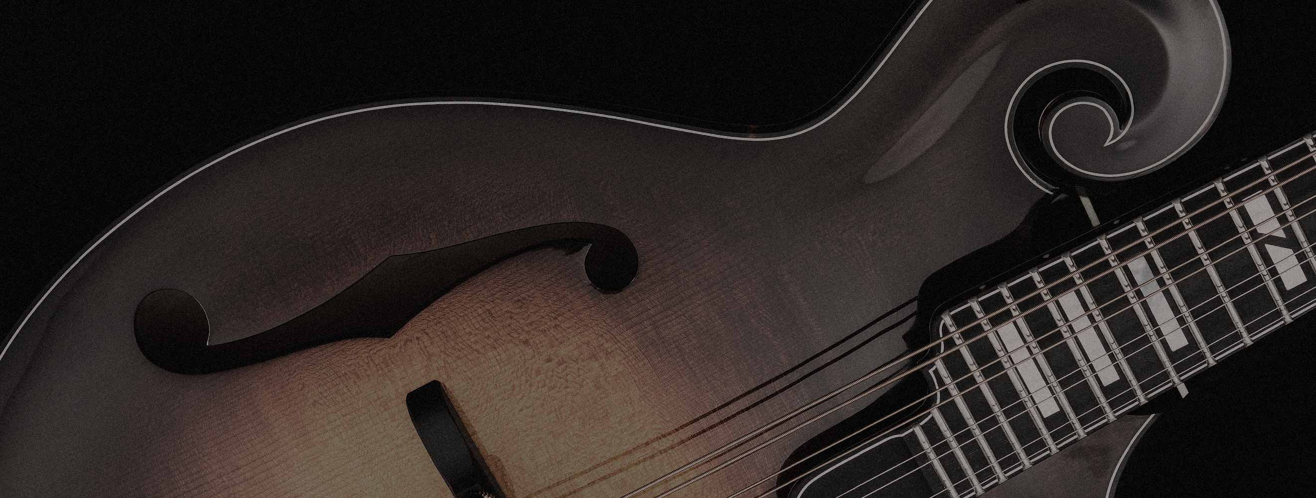 Hire A Session Mandolin Player World Class Guitarist for Your Songs