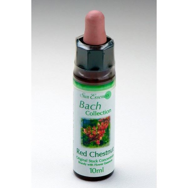 Red Chestnut. Bach flower remedies, A.Vogel herbal, homeopathic and