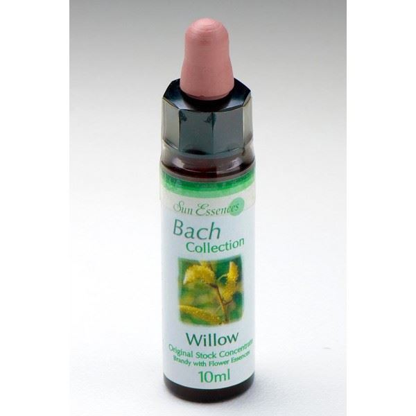 Willow. Bach flower remedies.