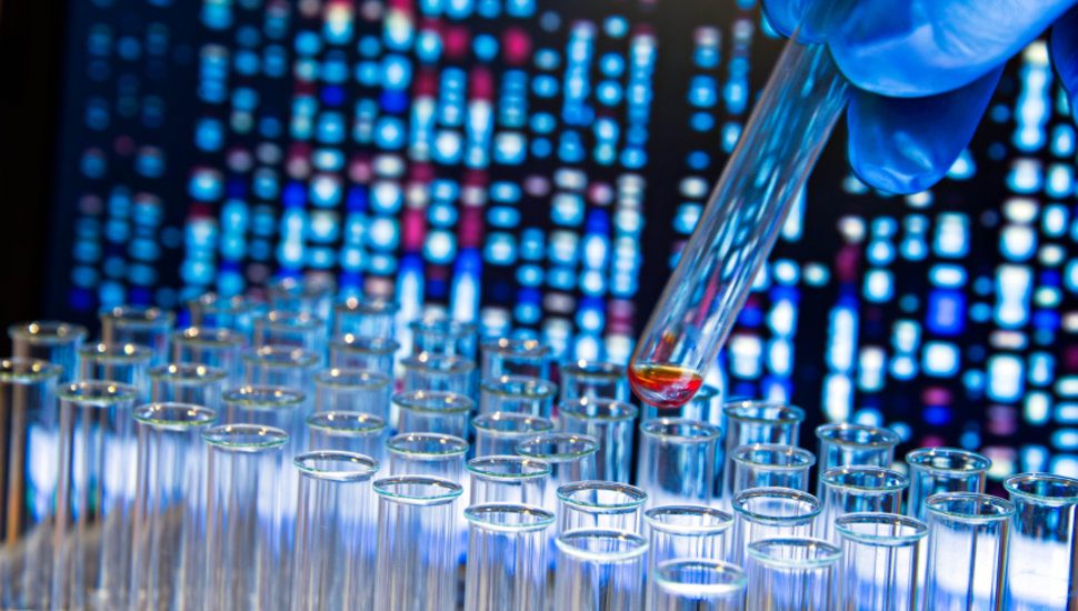 Better Your Lab Billing with Excellent Practice Management