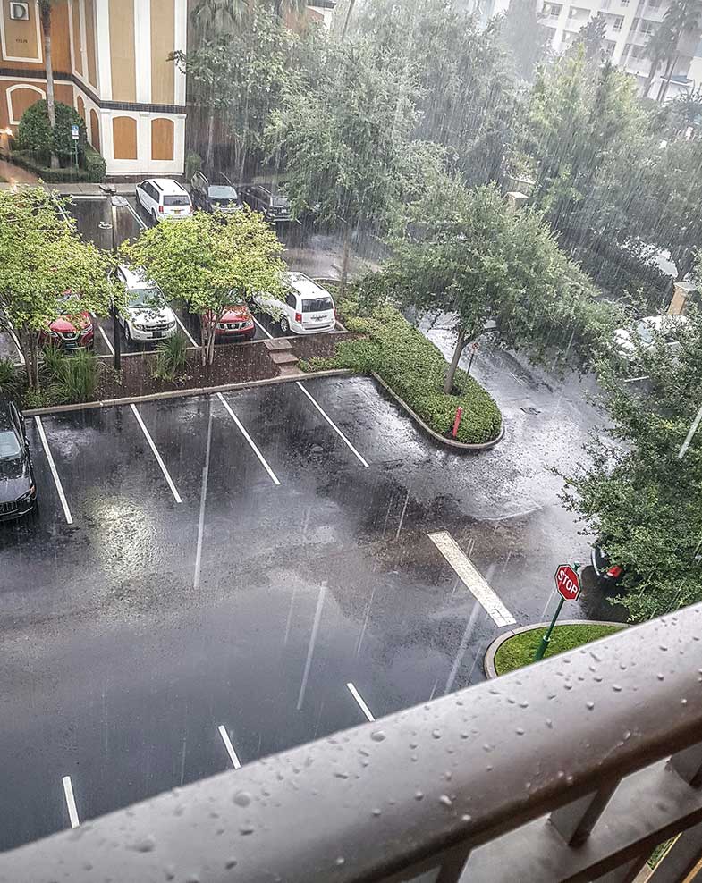 Does it Snow in Florida? (Coldest and Rainiest Months) Sunlight Living