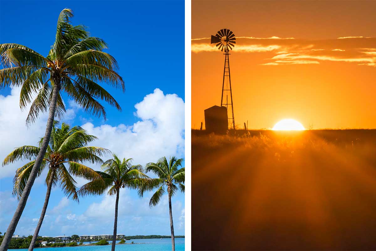 Florida vs Texas Which Is Better to Live In? (Pros & Cons) Sunlight