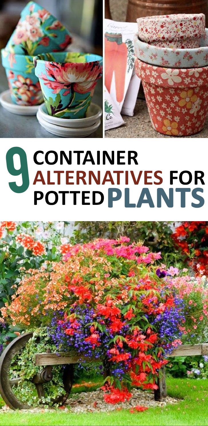 Alternative Planters For Container Gardening Idea, Tips