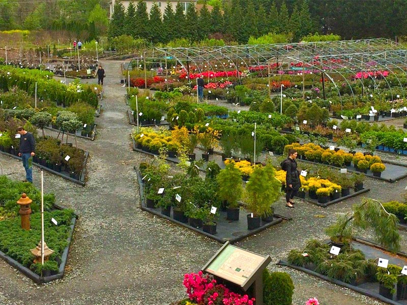 Plants Sun Nurseries