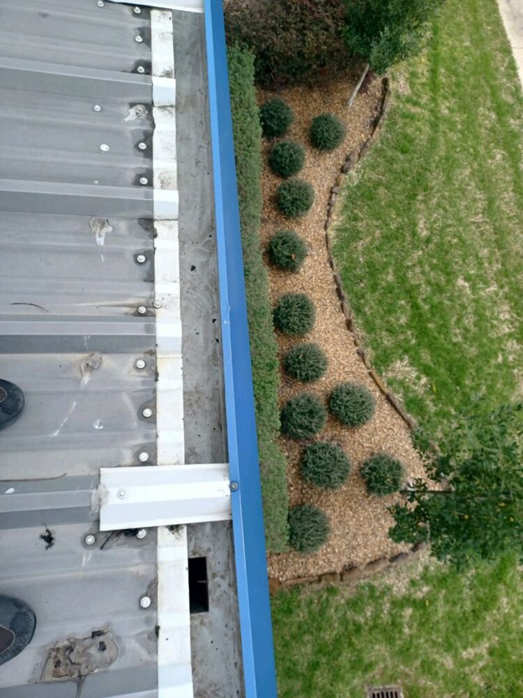 Commercial Gutter Cleaning Sunny Pressure Washing