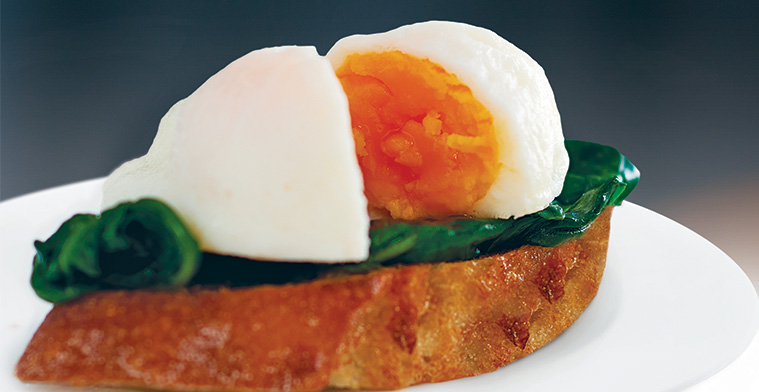 Home Style Poached Egg Sunny Queen Meal Solutions