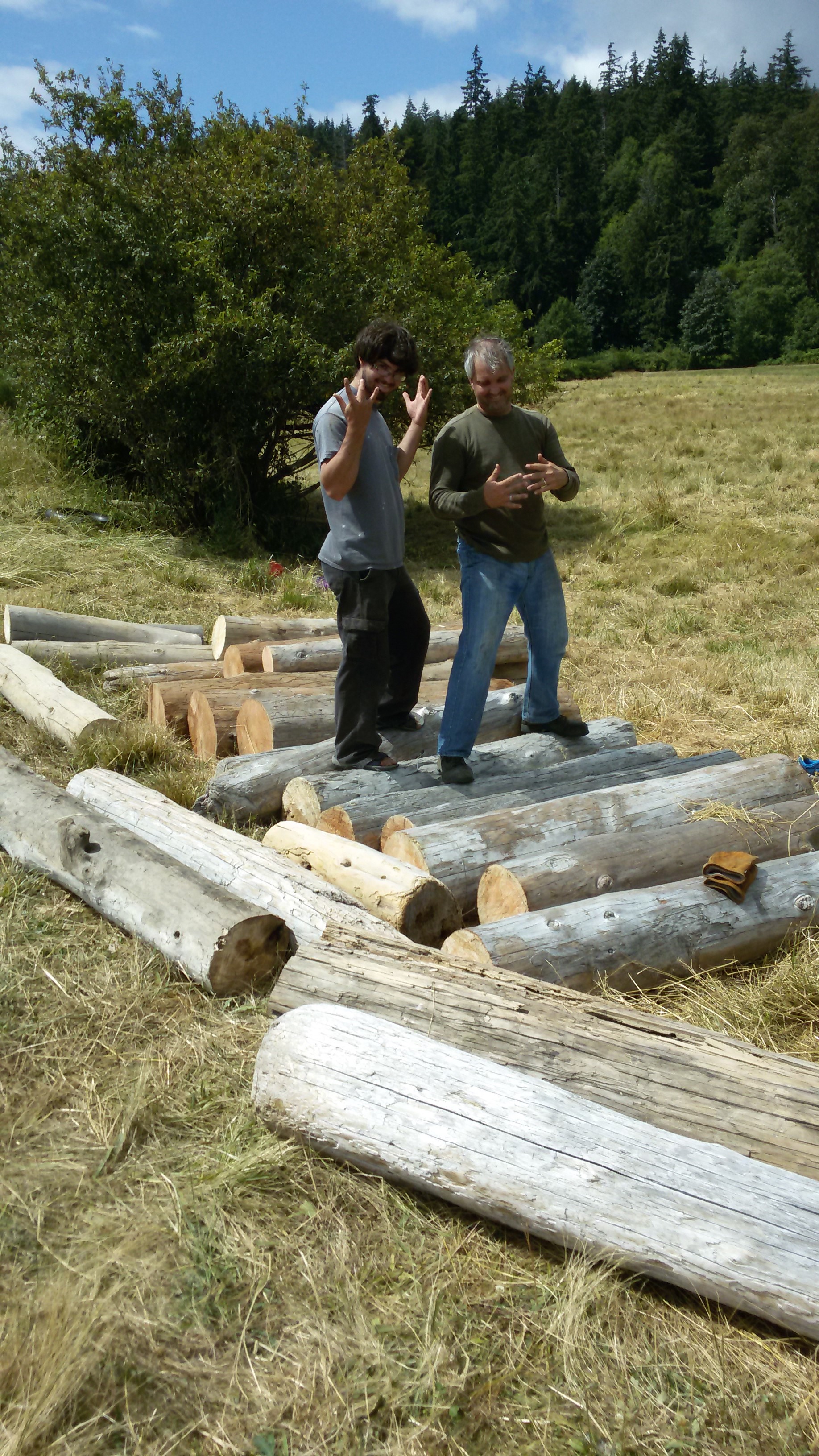 How to build a bulkhead for less than 300 in 10 easy steps Sunnyshore Studio