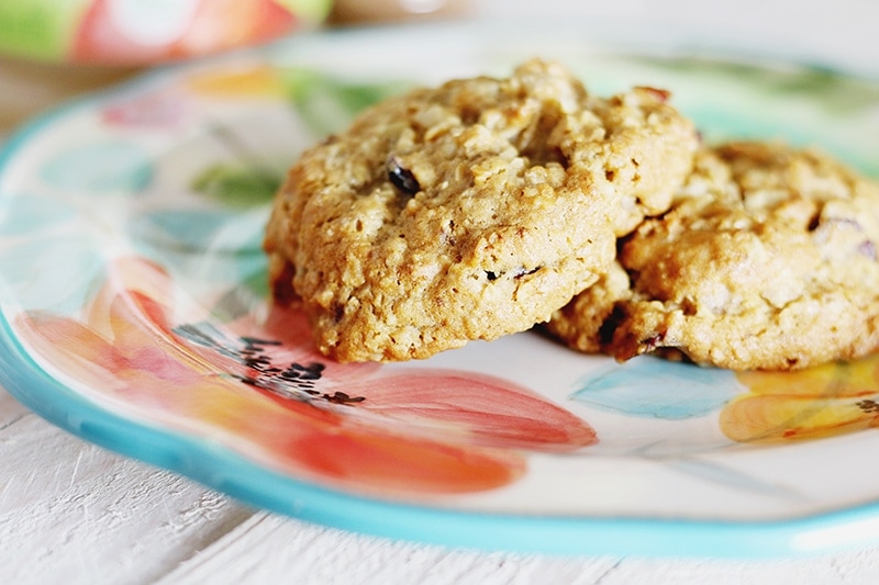 Cranberry Apple Oatmeal Cookies » Sunny Sweet Days
