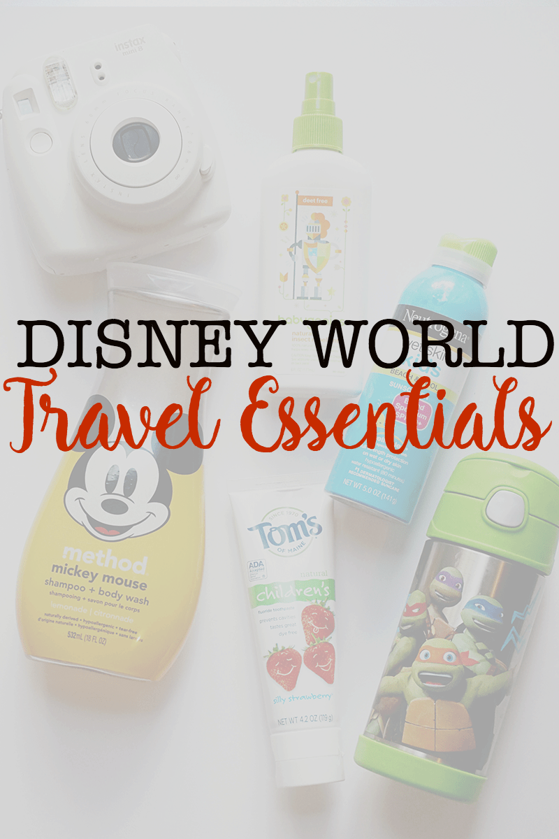 Disney World Travel Essentials 3 Tips For Theme Parks