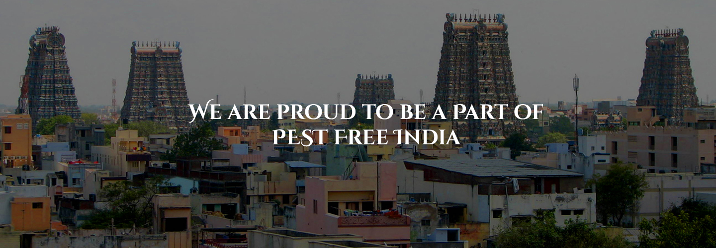 Sun Pest Control Services Madurai Pest Management Company, Termite