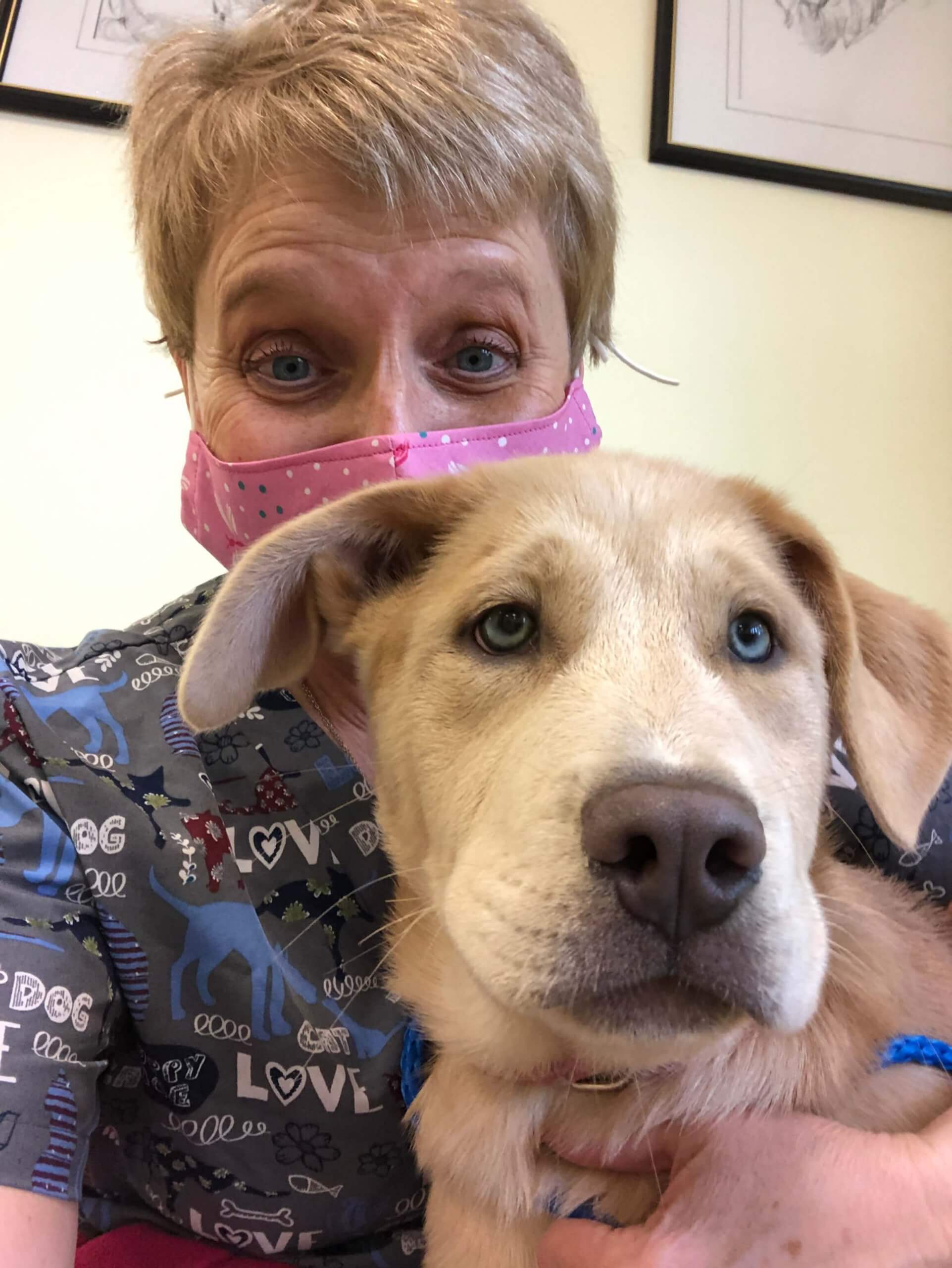 Sunray Animal Clinic Photo Gallery Vet Clinic In Brunswick, ME 04011