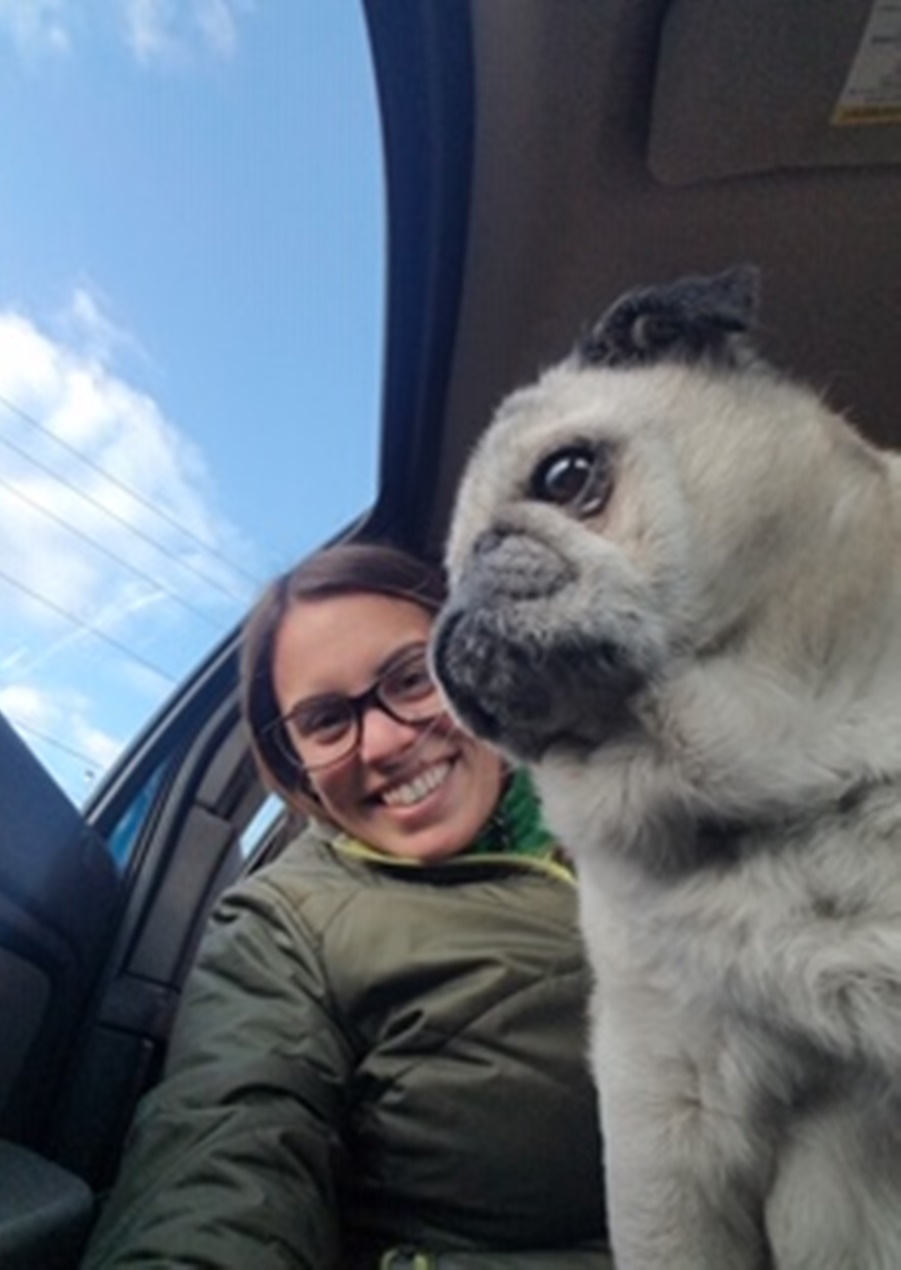 Veterinarian In Brunswick, ME 04011 Sunray Animal Clinic