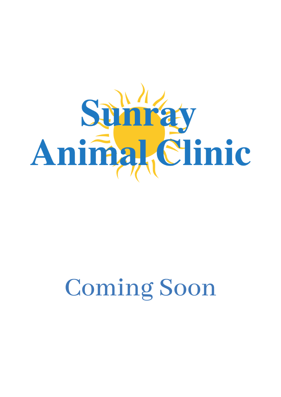 Veterinarian In Brunswick, ME 04011 Sunray Animal Clinic