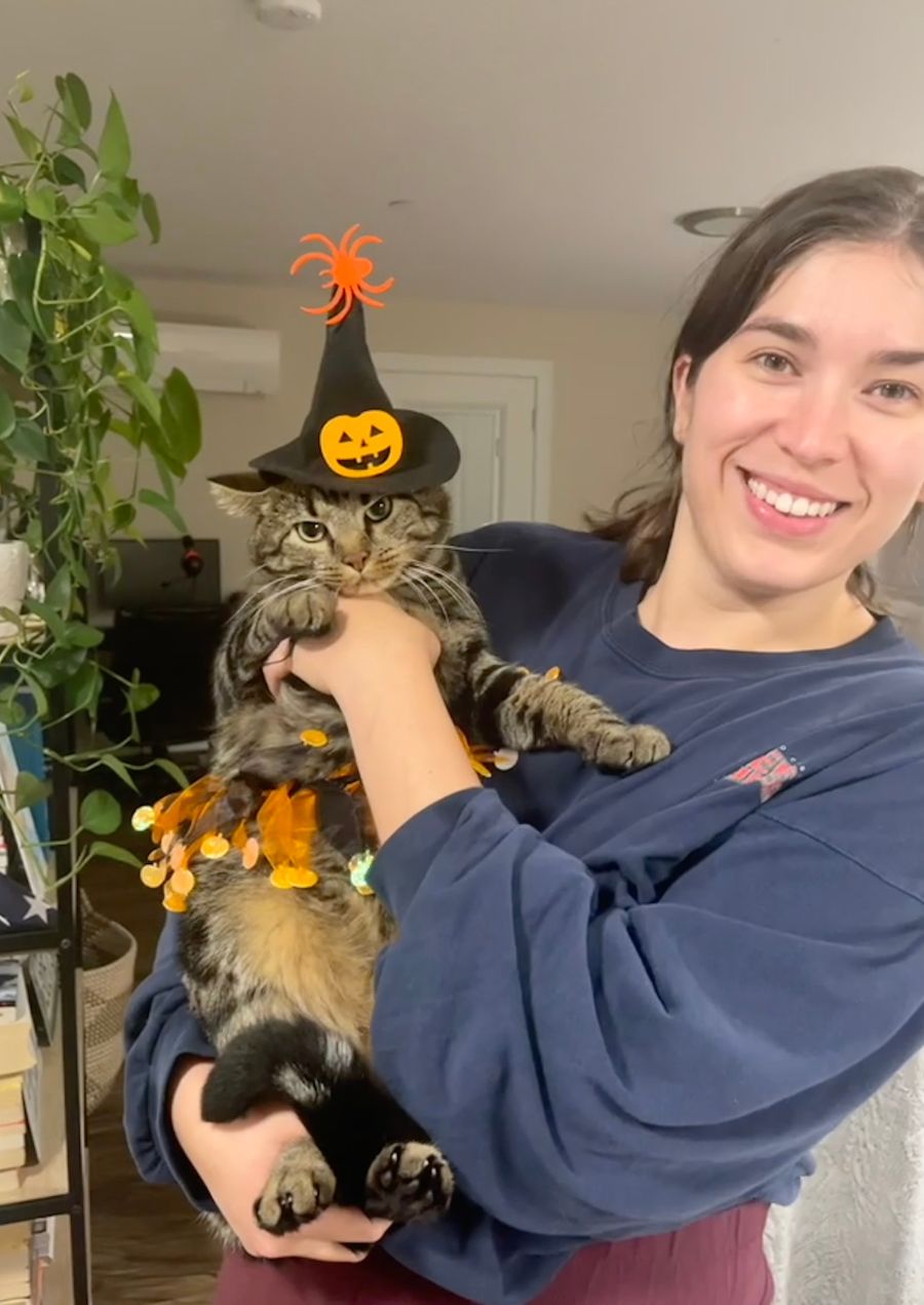 Veterinarian In Brunswick, ME 04011 Sunray Animal Clinic