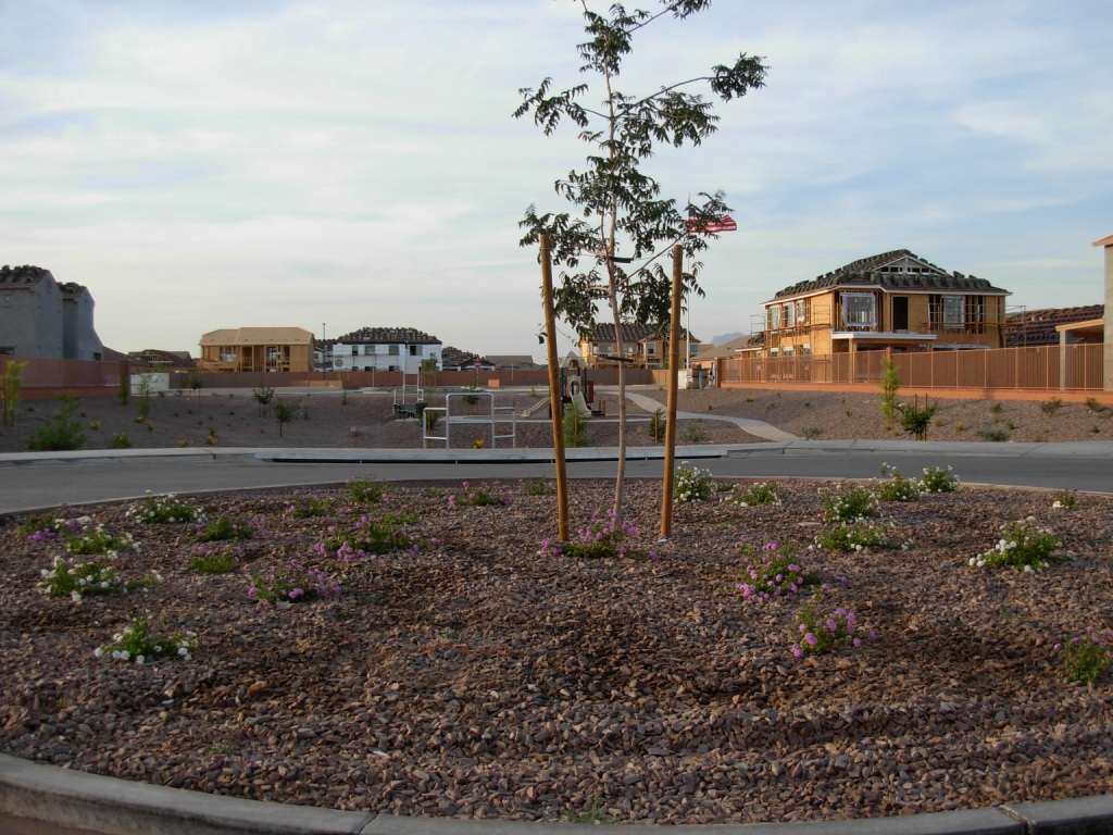 Laredo Ranch Sunrise Engineering