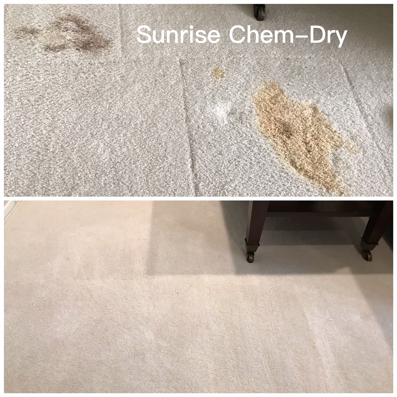 Removing Blood Stain From Wool Carpet