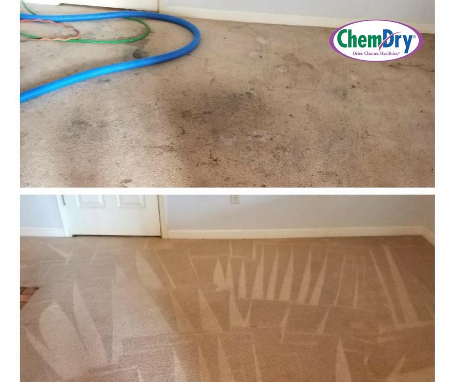 Let The Professionals Clean Your Carpet In Arizona Sunrise ChemDry