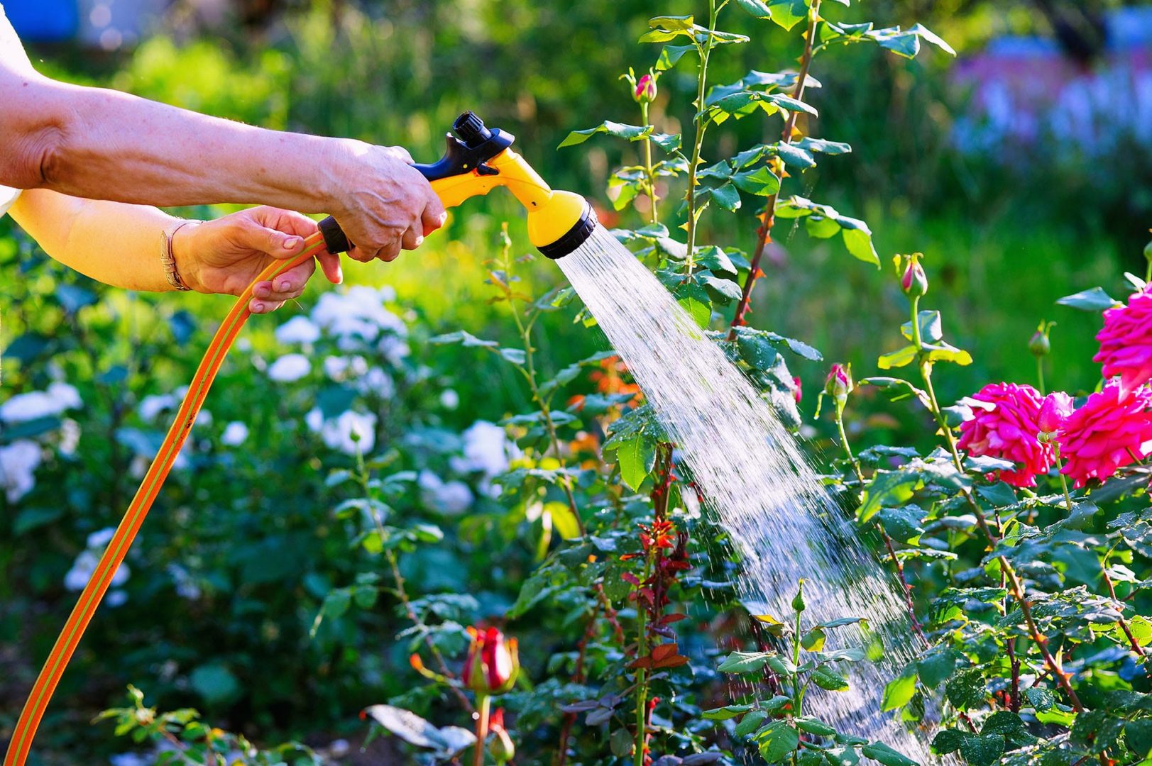 Water Saving Ideas You Can Use While Gardening