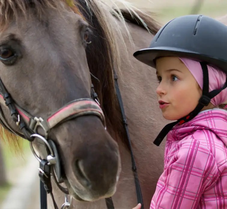 Canterfield Farm Estates Experience the Sunrise Dream Home Difference