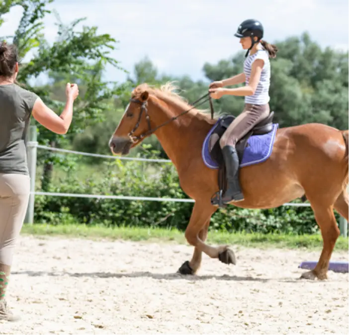 Canterfield Farm Estates Experience the Sunrise Dream Home Difference