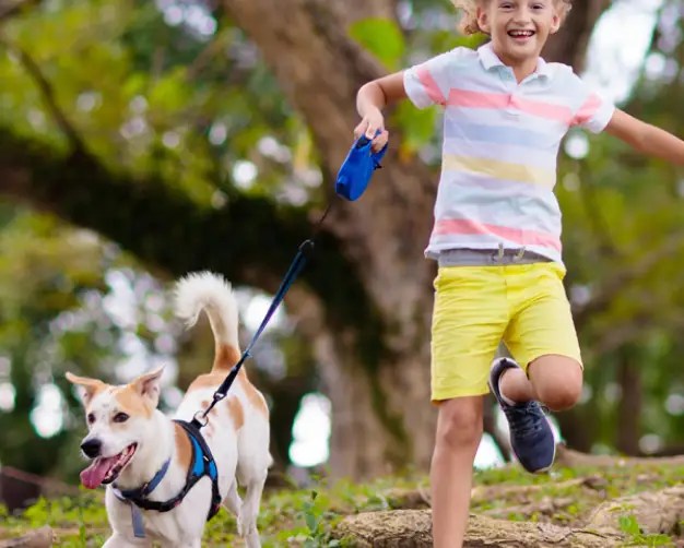 Canterfield Farm Estates Experience the Sunrise Dream Home Difference