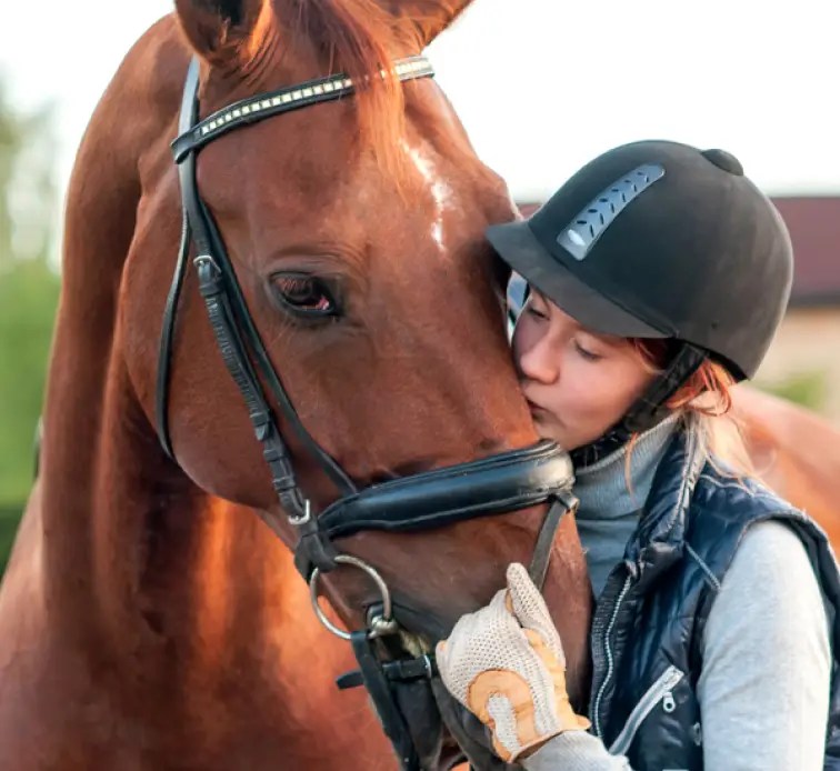 Canterfield Farm Estates Experience the Sunrise Dream Home Difference