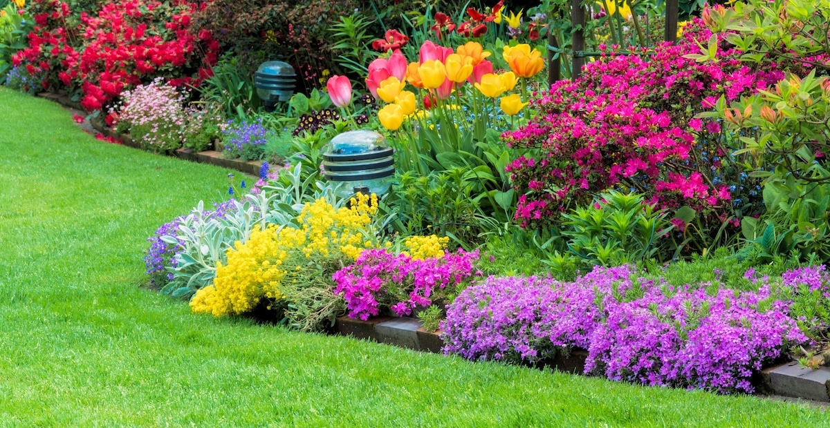 Why Drip Irrigation is Important for your Garden?