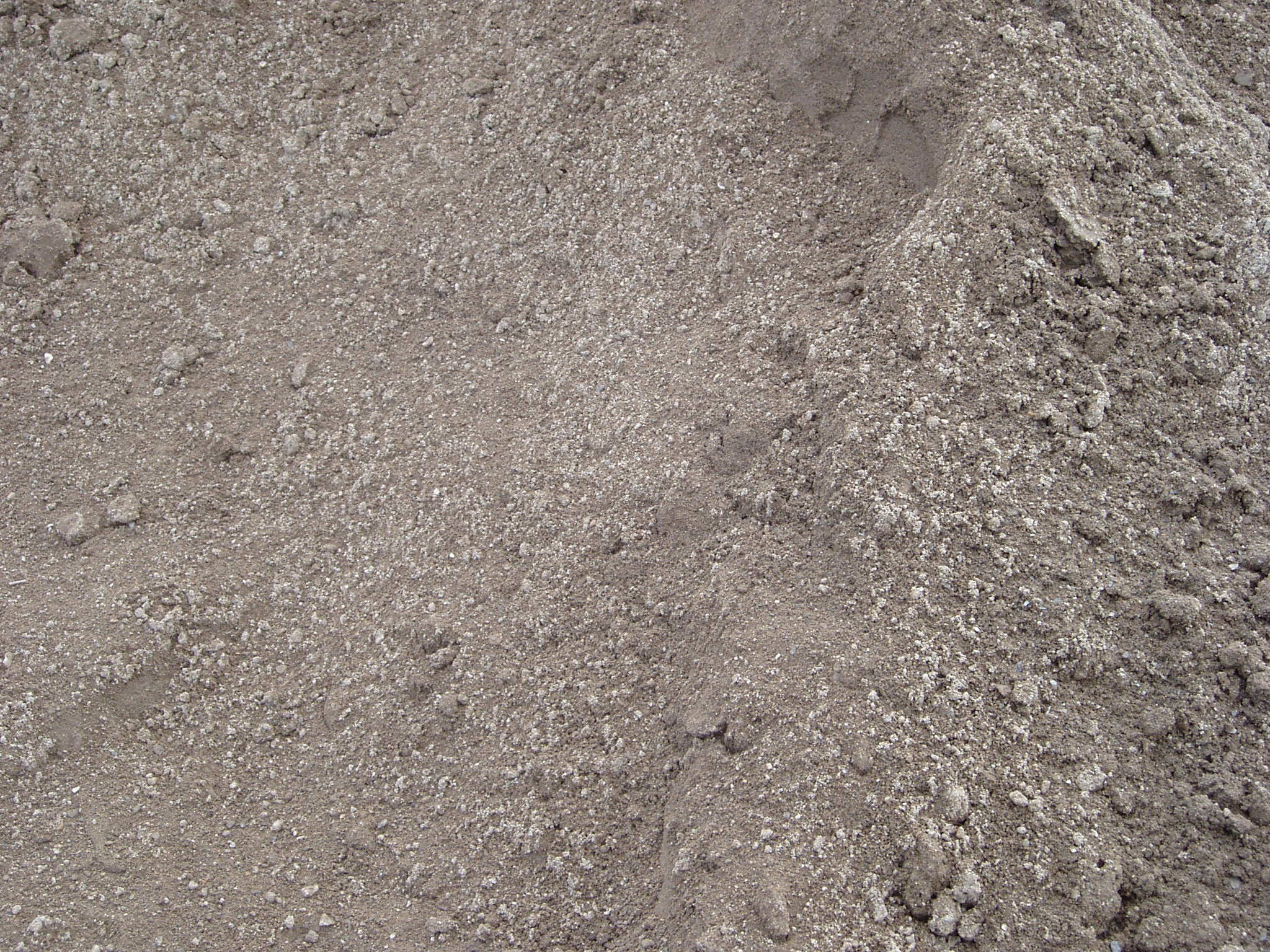 Sandy Loam Sunrise Inc