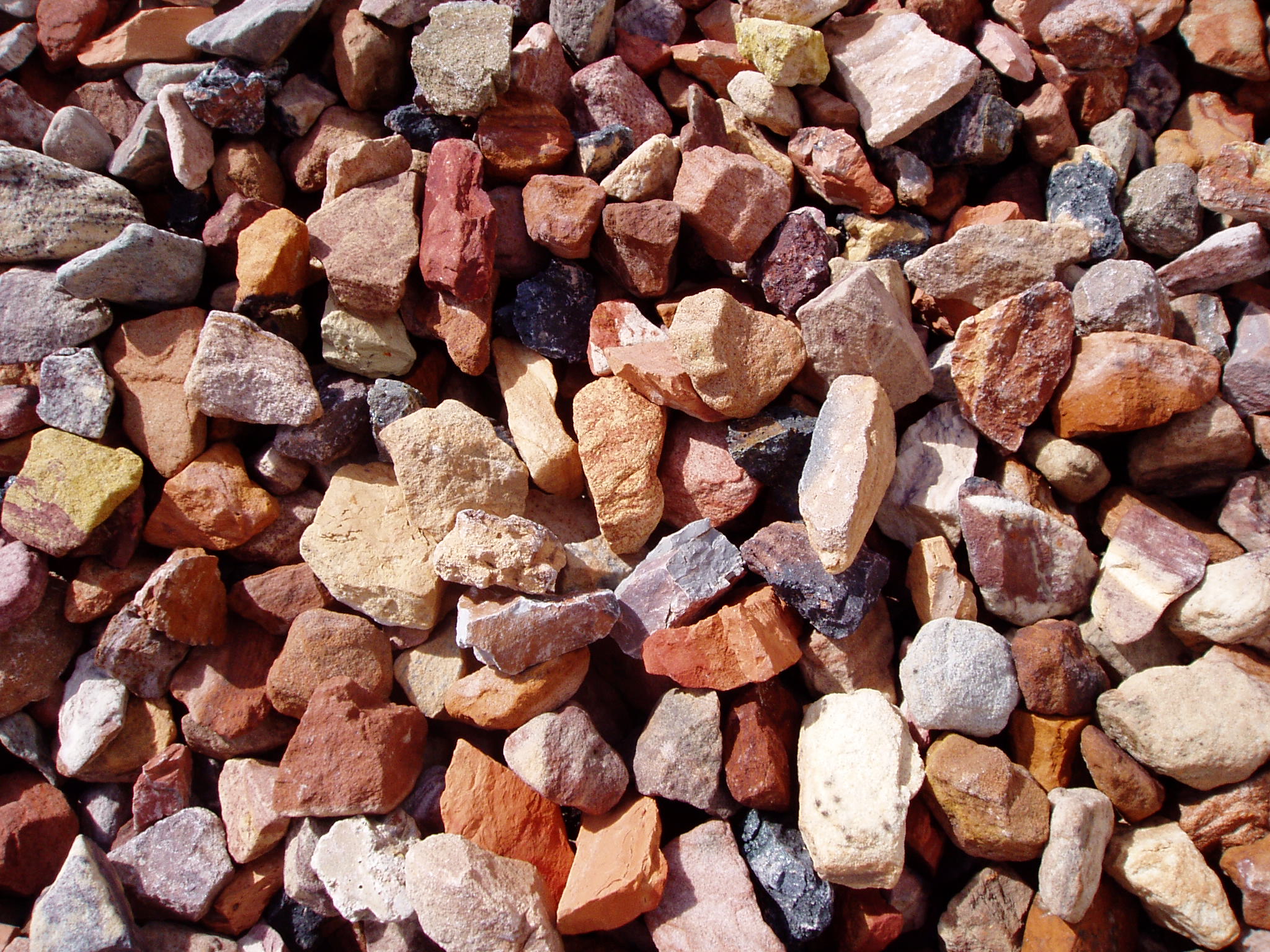 Western Sunset Sunrise Inc