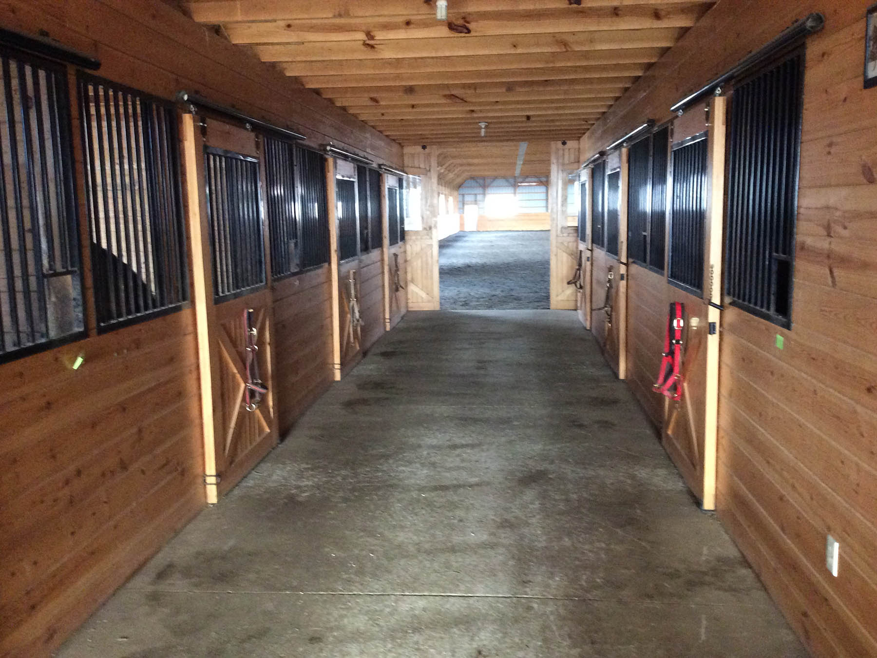 Sunrise Stables LLC Champion Show Horses in the Heart of Pennsylvania