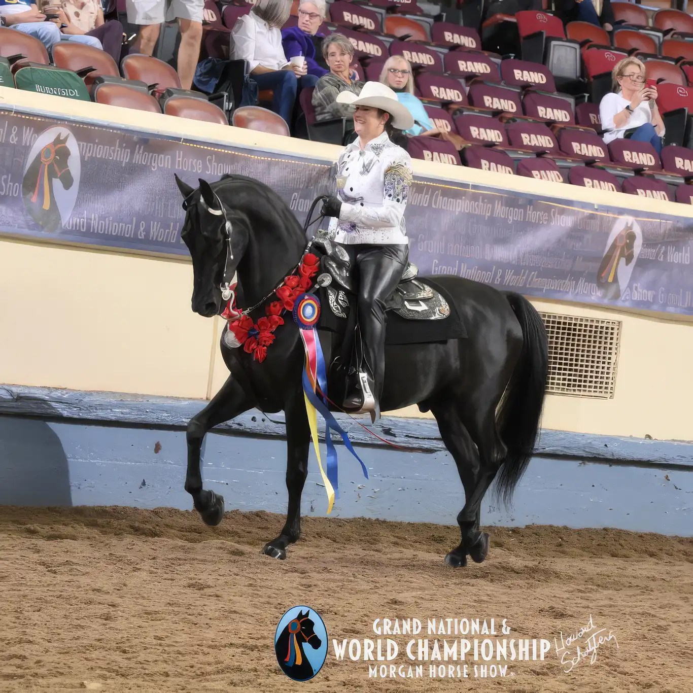 Our 2024 Sunrise Sales Incentive Winners! Sunrise Stables LLC