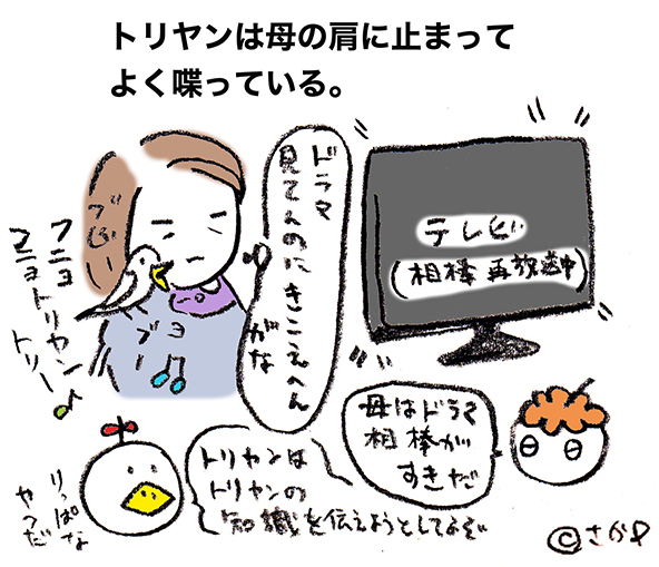 落書きブログ　さかｐイラスト
