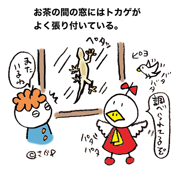 落書きブログ　さかｐイラスト