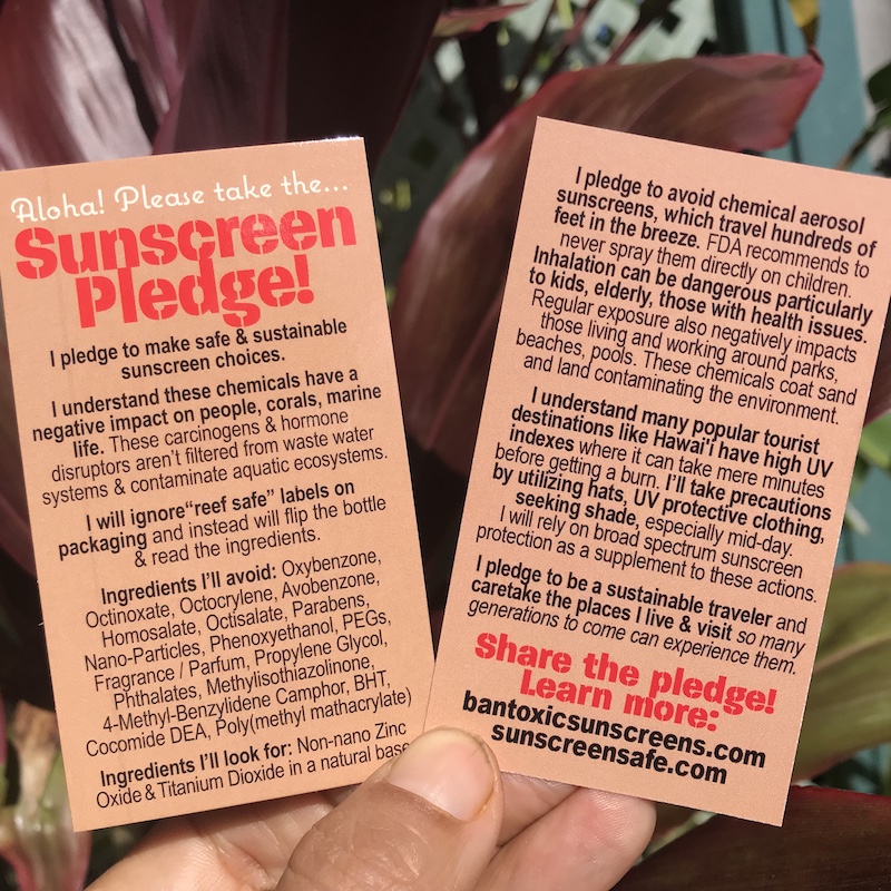Sunscreen Educational Cards 100 Safe Sunscreen Coalition
