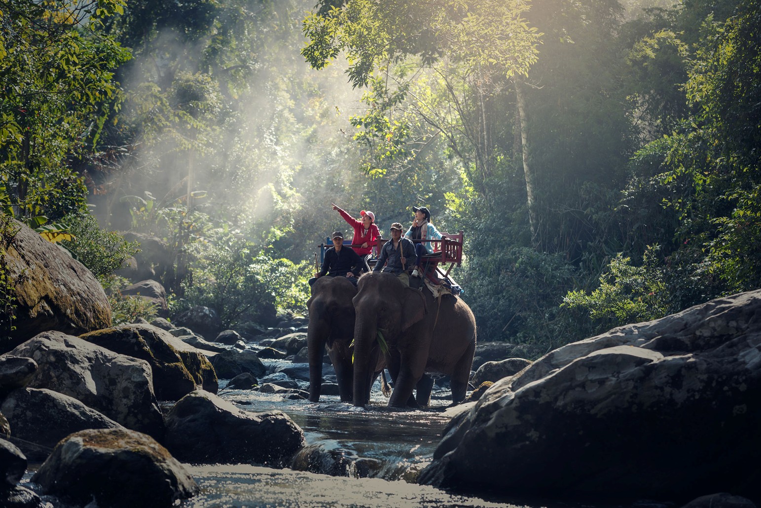 What To Know About Riding Elephants In India — Sunset Travel & Cruise