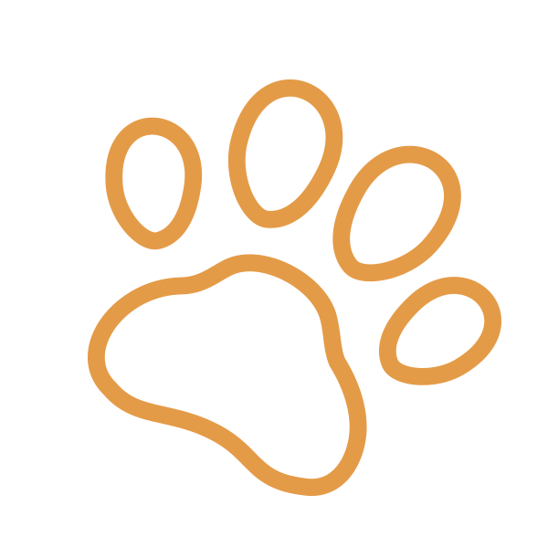 Meet Our Animal Clinic Veterinary Doctors Sunset Animal Hospital