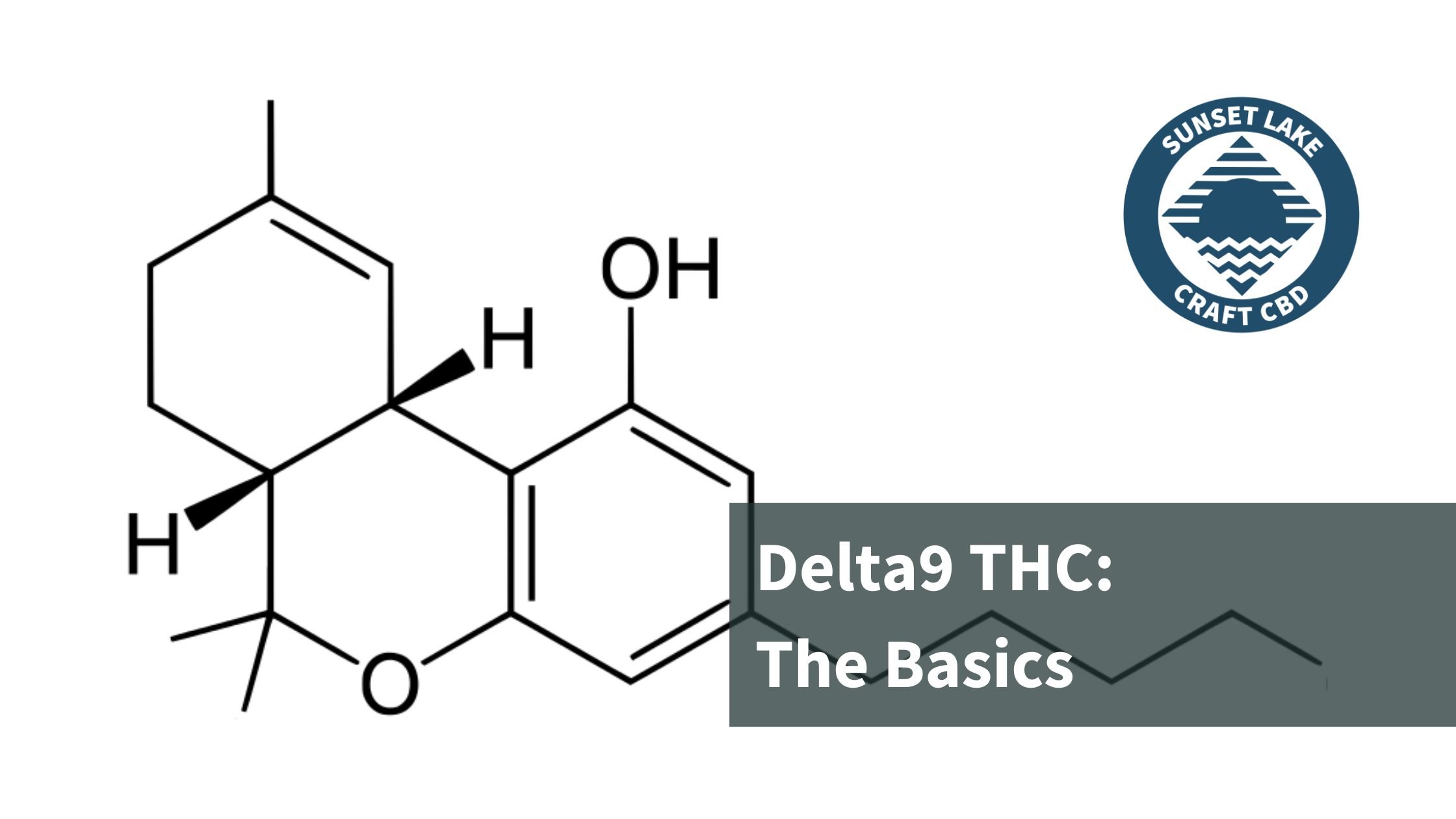 Understanding Delta9 THC Benefits, Effects, and Safety