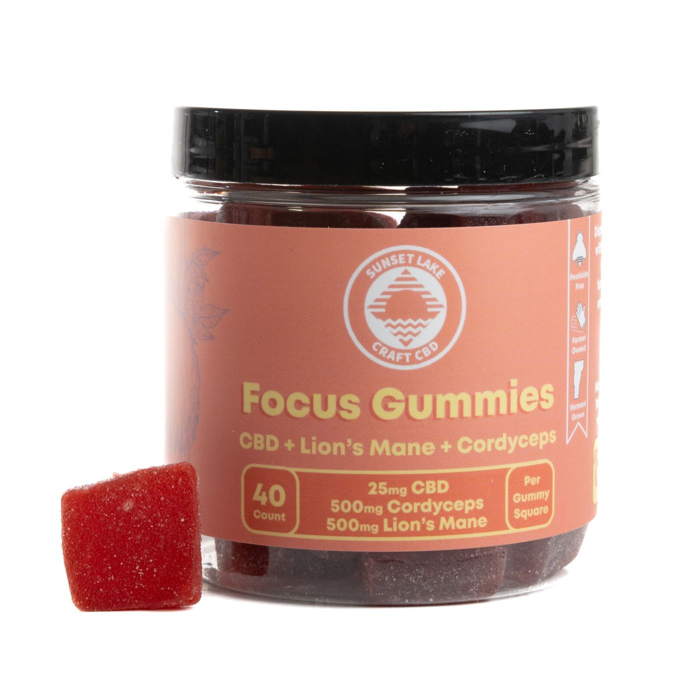 Focus Functional Mushroom Gummies + CBD Sunset Lake CBD