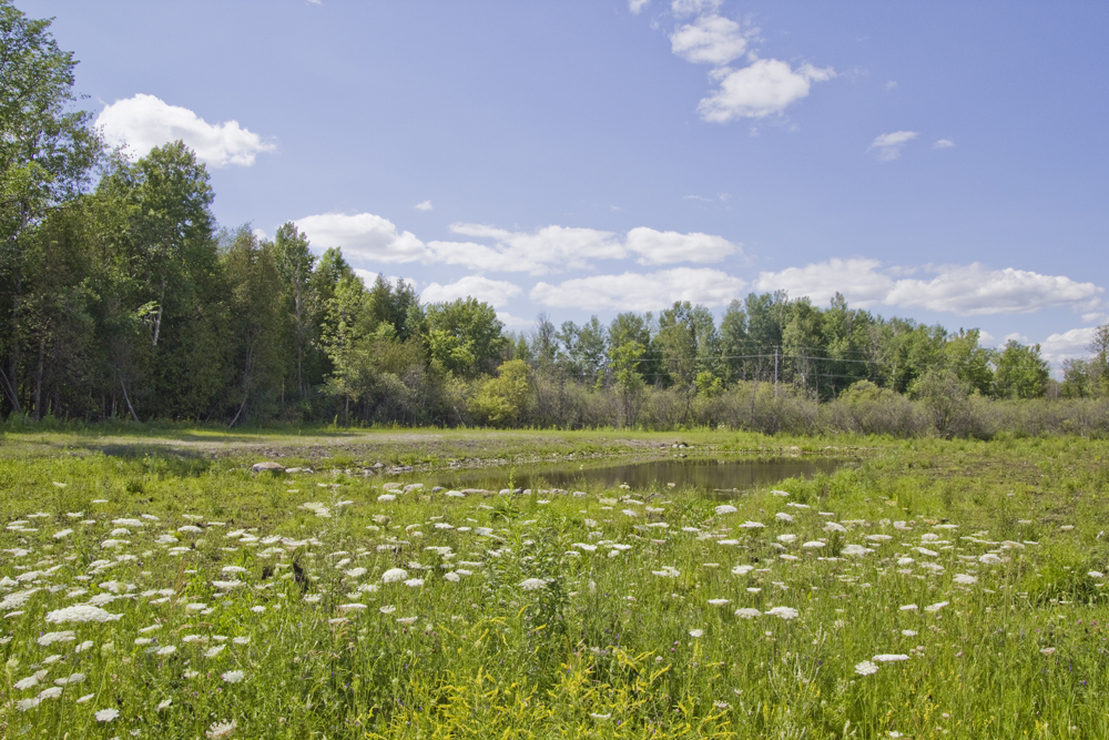 Greely Orchard Estates Beautiful 2Acre Lots with Onsite Pond