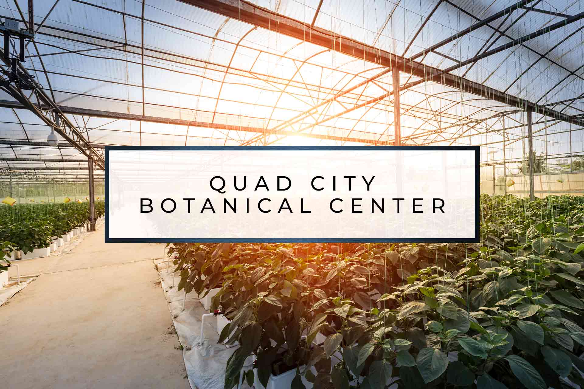 Quad City Botanical Center Sunset Marina