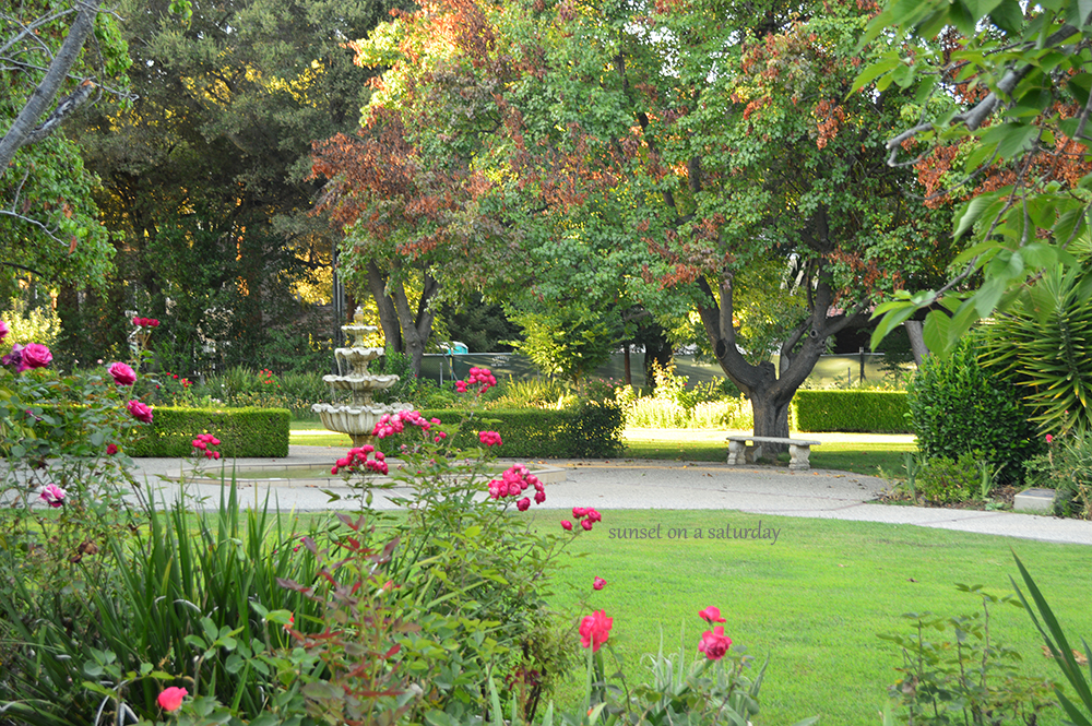 SF Bay Area St. Raymond Catholic Church (Menlo Park) sunset on a