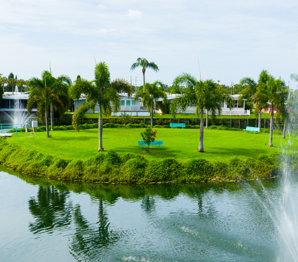 Newsletters Sunset Palms