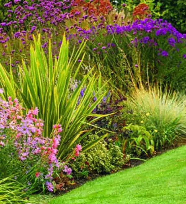 6 Steps to a WaterWise Garden Sunset Plant Collection