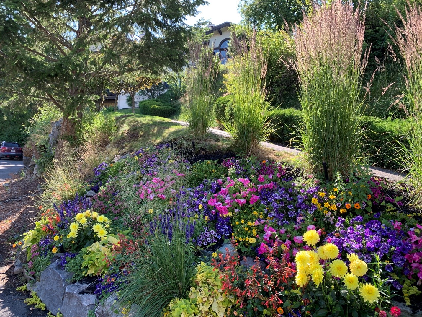 Homepage Sunset Point HOA