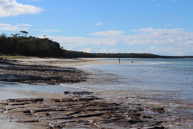 Beecroft Peninsula Scenic Day Trip in Jervis Bay Dreaming of Down Under