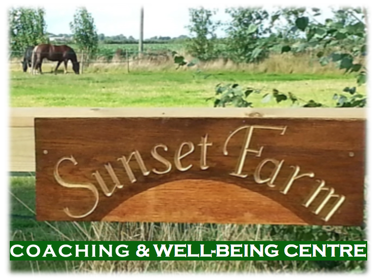 Sunset Farm Coaching and WellBeing Centre