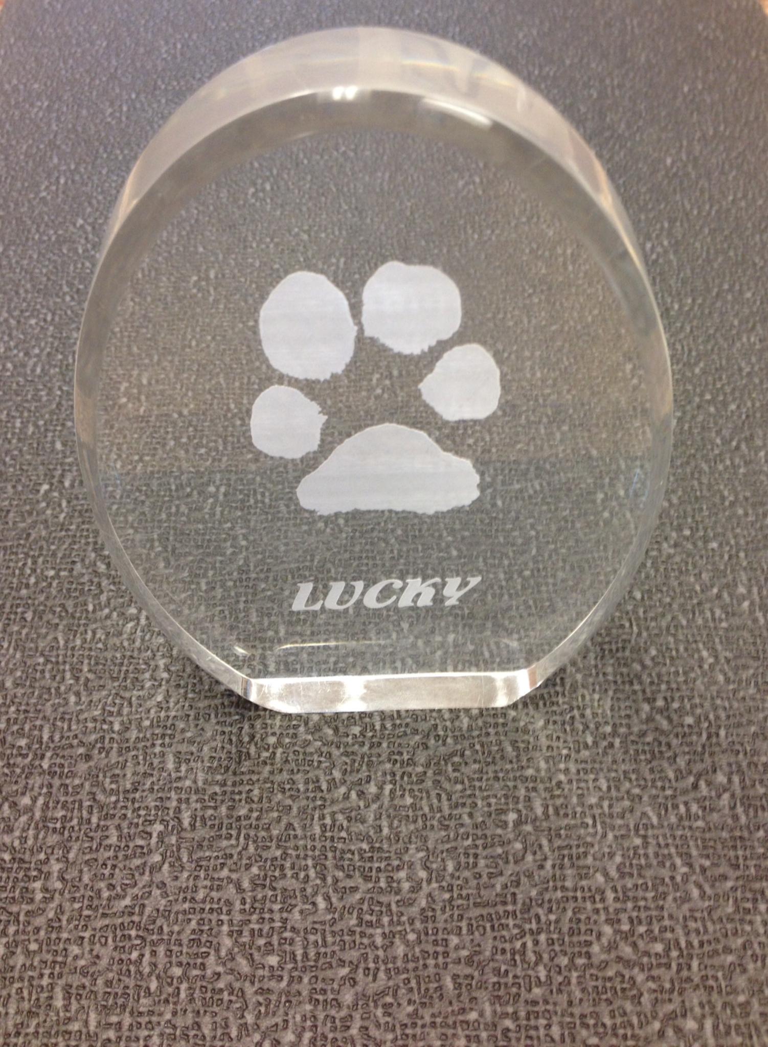 Sunset Eastern Animal Hospital Veterinarian in Las Vegas, NV US