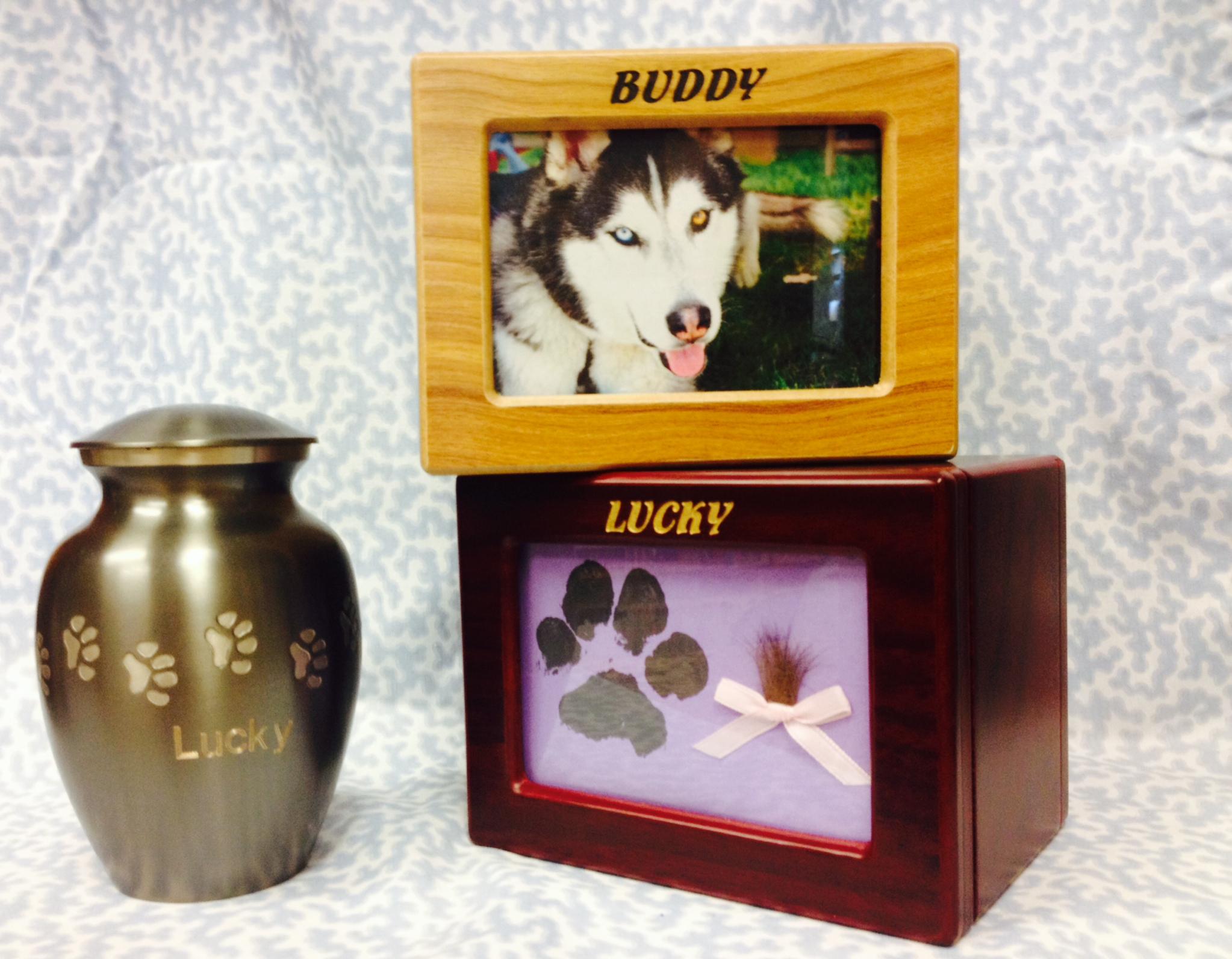 Sunset Eastern Animal Hospital Veterinarian in Las Vegas, NV US