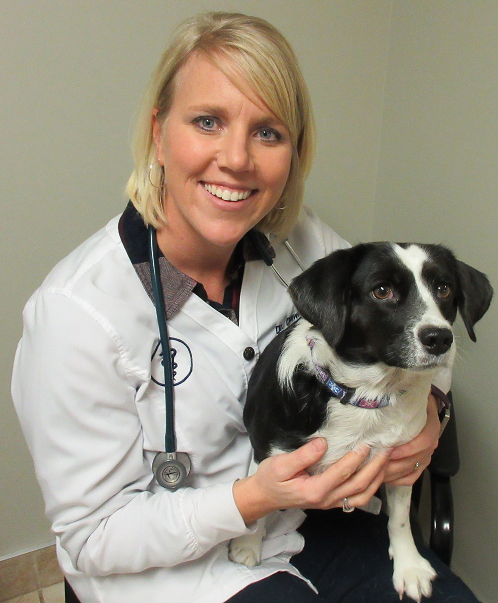 Sunset View Pet Hospital Veterinarian in Wilton, IA