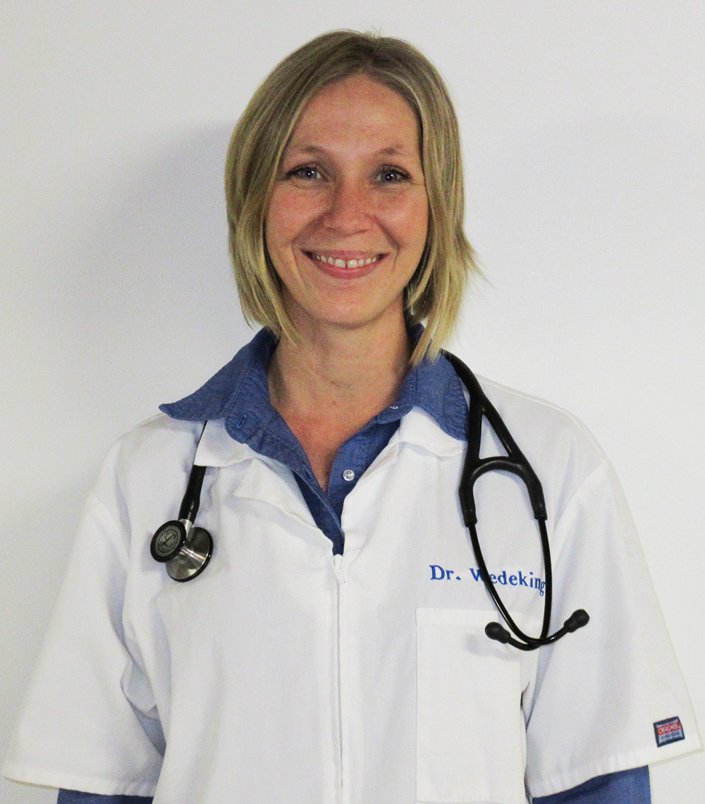 Sunset View Pet Hospital Veterinarian in Wilton, IA